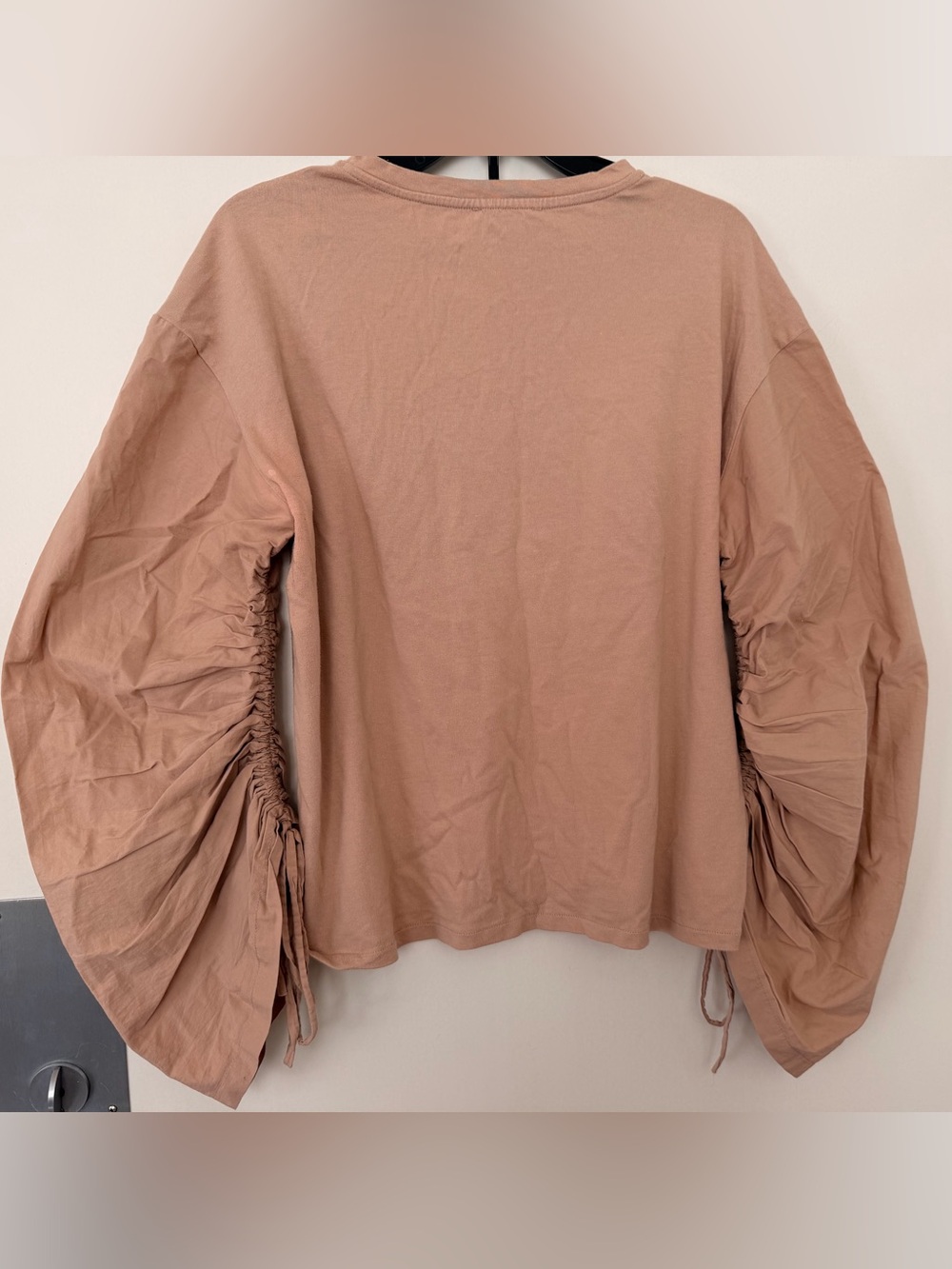 Zara Women’s Ruched Sleeve Long-Sleeve Top - Dusty Rose